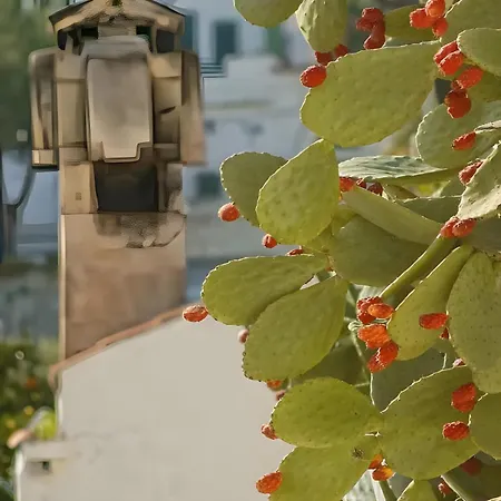 Le Di Chri Casa vacanze *