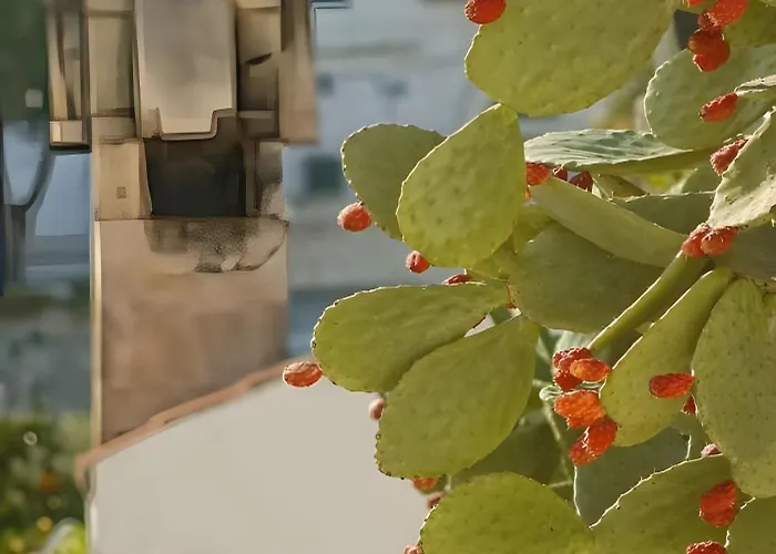 Le Di Chri Casa de Férias *